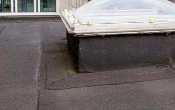 disadvantages of West Row flat roofs