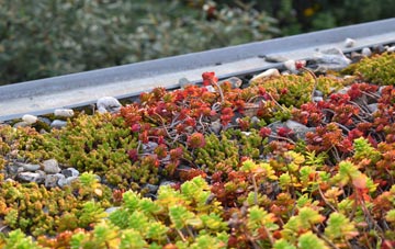 the cost of West Row green roof installation
